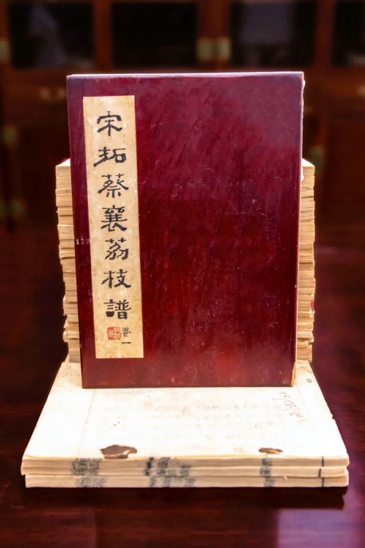 莆田荔枝，千年荔树，千年荔城2434.png